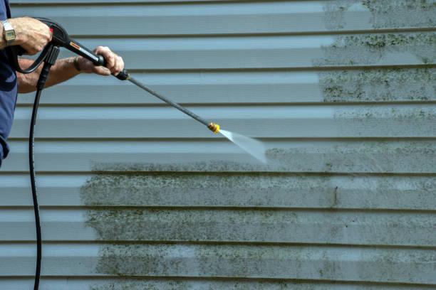 Local Pressure Washing Services in Olympia, SC