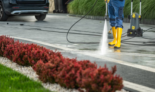 Best Affordable Pressure Washing  in Olympia, SC